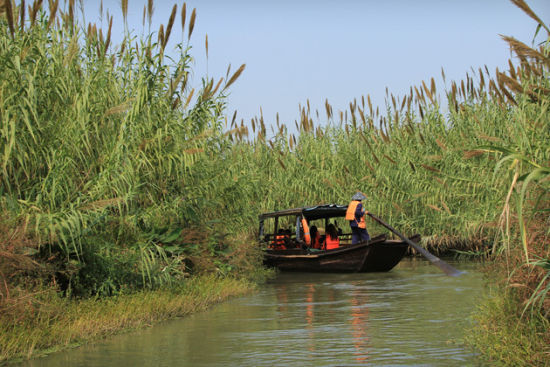 蕩起雙槳劃走冬天 江蘇春天泛舟好去處 (2)_新浪旅游_新浪網