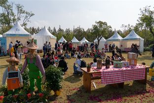 30天吸粉40萬，2019長興島郊野公園兩節圓滿閉幕，沙家浜旅游再掀熱潮