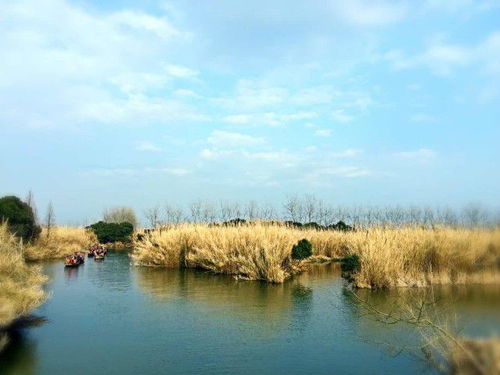 秋游蘇州沙家浜 一場色香味俱全的江南尋味之旅